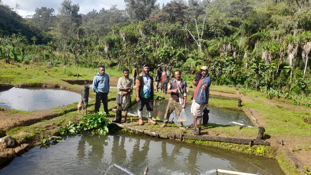 PNG CDCS - Projects