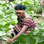 Agriculture & Aquaculture Development